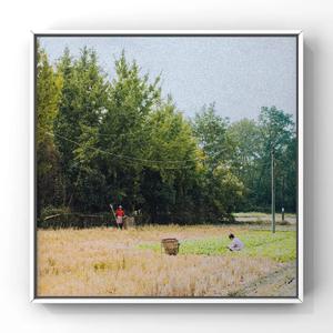 韩国一级黄色片
